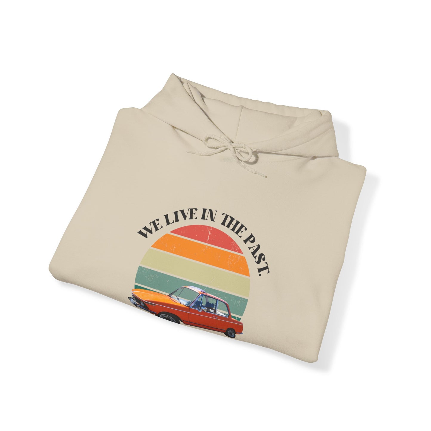 We Live in The Past Customized Unisex Heavy Blend™ Hooded Sweatshirt