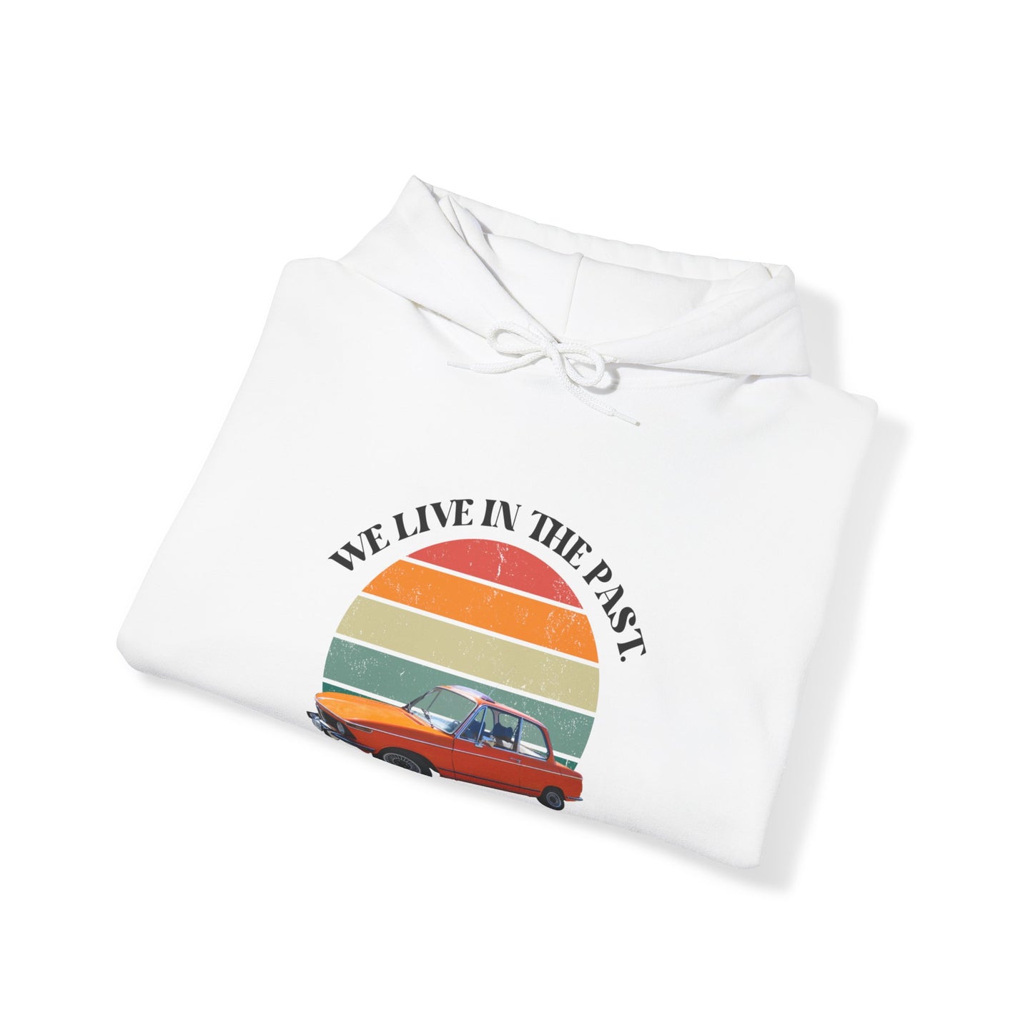 We Live in The Past Customized Unisex Heavy Blend™ Hooded Sweatshirt
