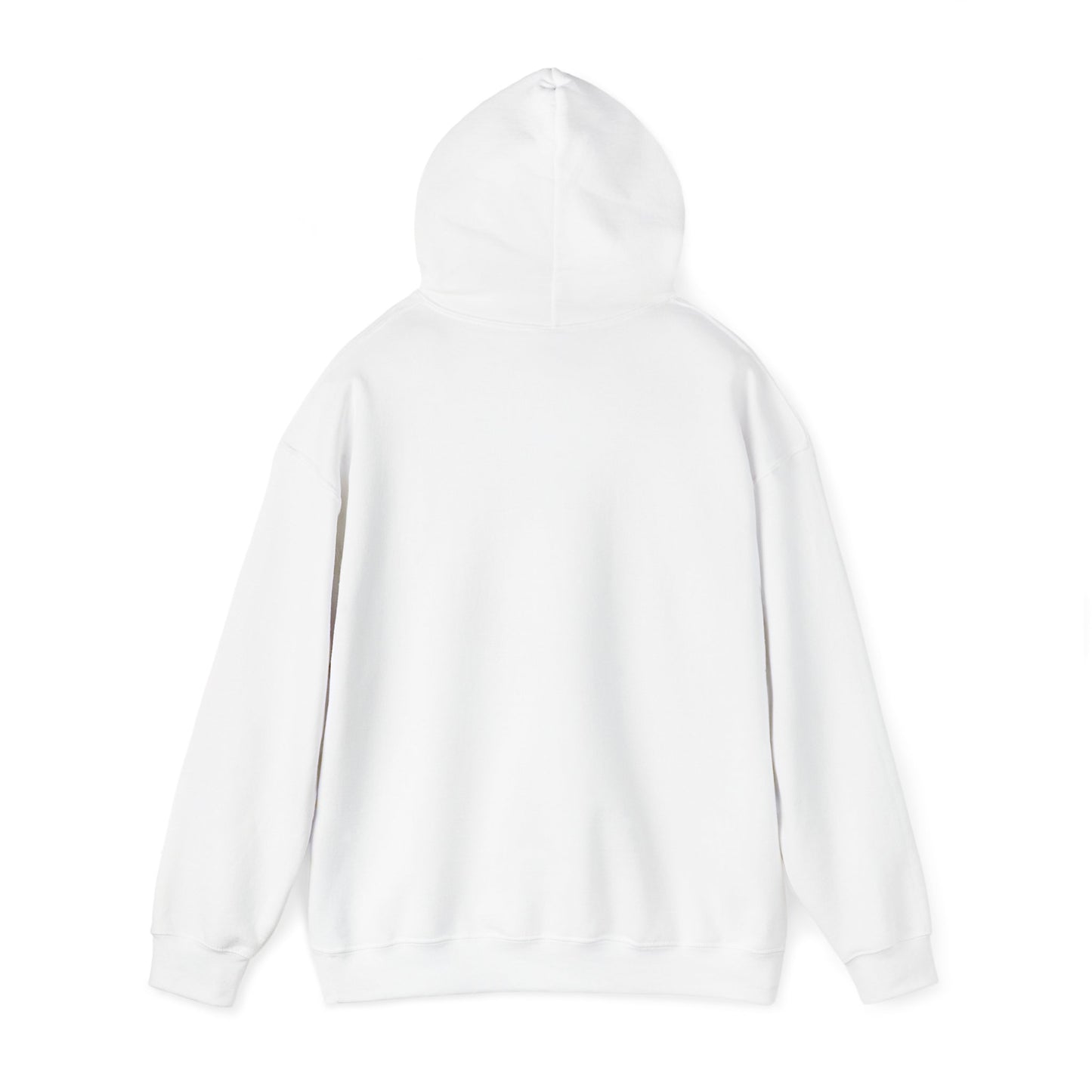 We Live in The Past Customized Unisex Heavy Blend™ Hooded Sweatshirt