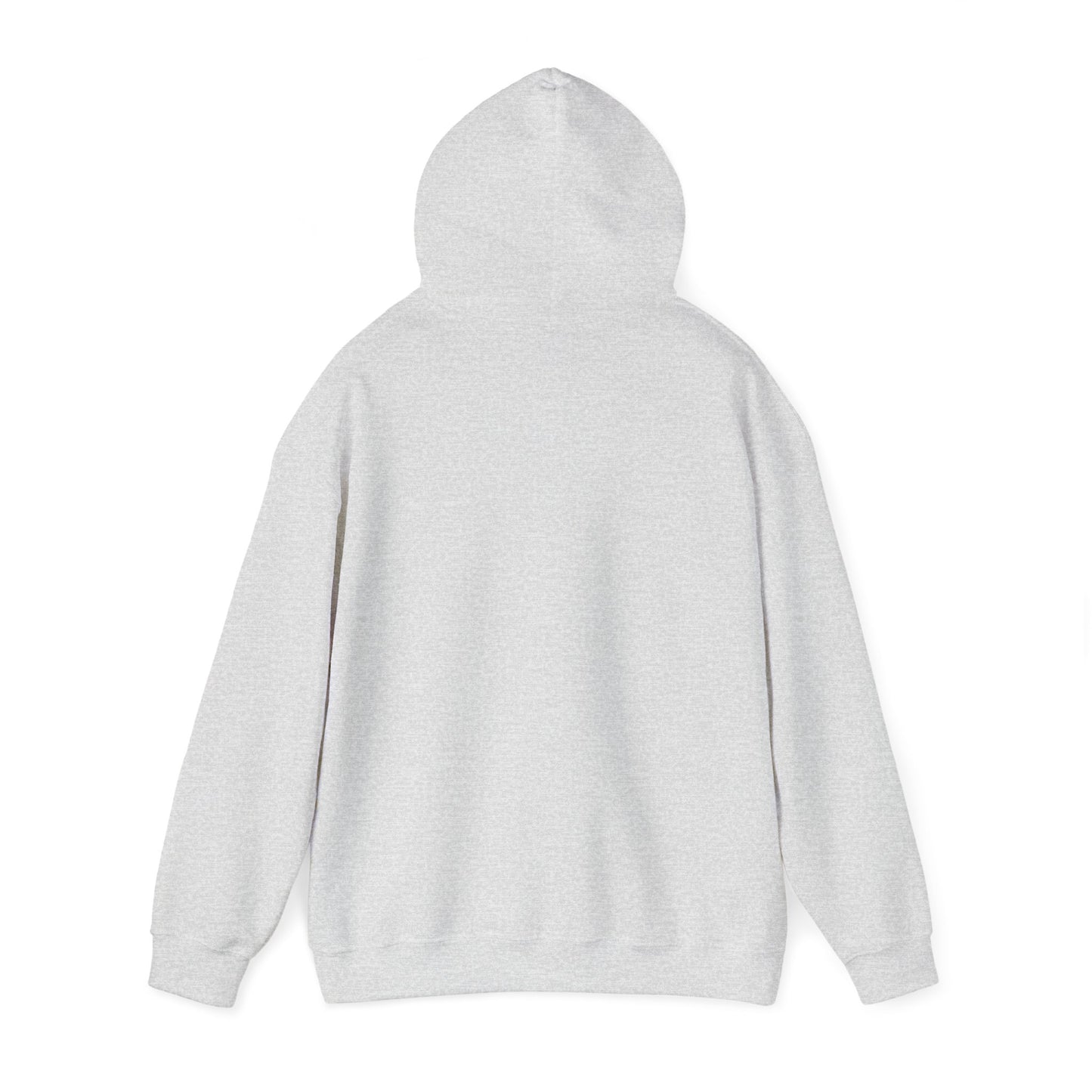 We Live in The Past Customized Unisex Heavy Blend™ Hooded Sweatshirt